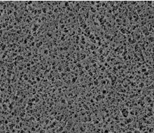 1648789489982018DaJC.png 圖片3.png