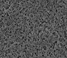 1648789499611814XnAb.png 圖片4.png